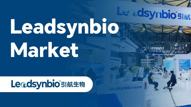 Market | 引航生物全線產(chǎn)品閃耀CPHI 彰顯原創(chuàng)研發(fā)實力及全產(chǎn)業(yè)鏈供應優(yōu)勢