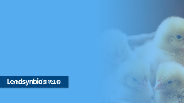 為什么說水溶性25-羥基維生素D? 是一個(gè)偽命題 ？｜產(chǎn)品科普