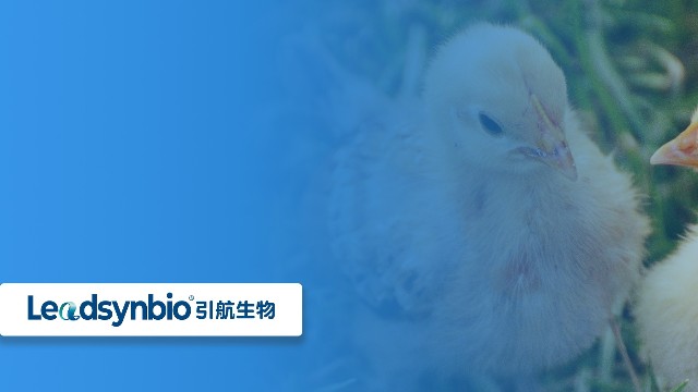 關(guān)于25-羥基維生素D?，你不得不知道的七個(gè)問答（二）｜產(chǎn)品科普